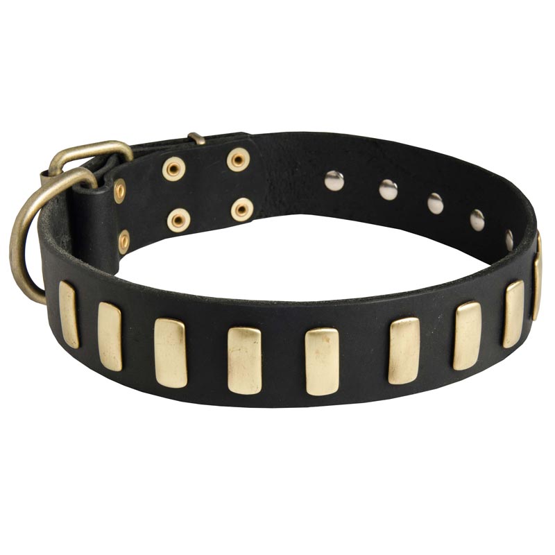 Fancy Leather Black Russian Terrier Collar with Brass Plates