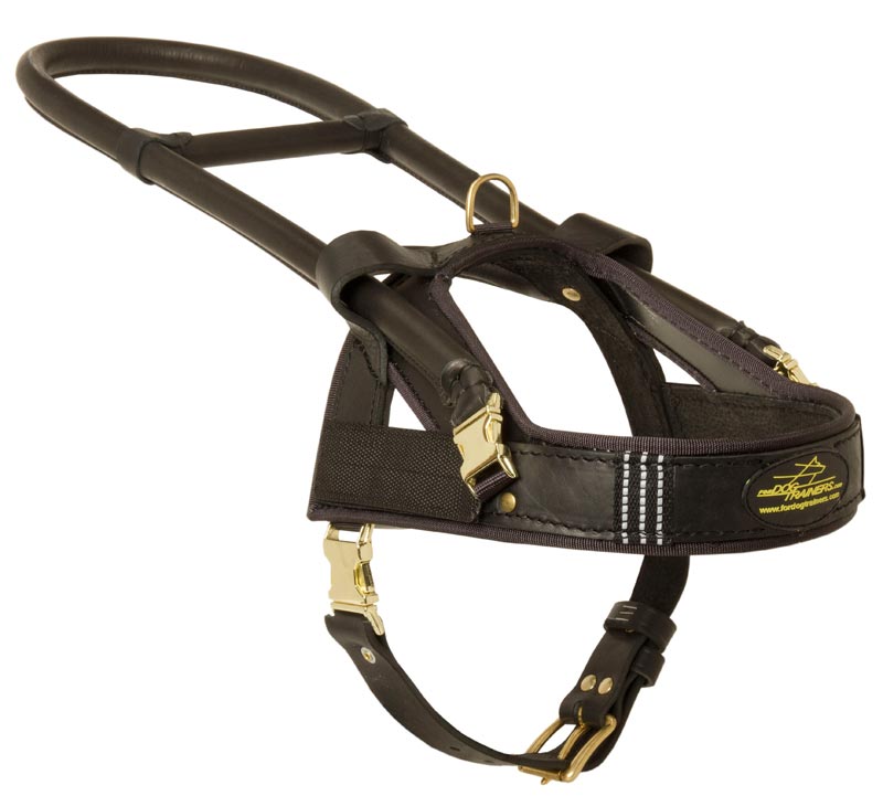 Guide and Assistance Leather Black Russian Terrier Harness