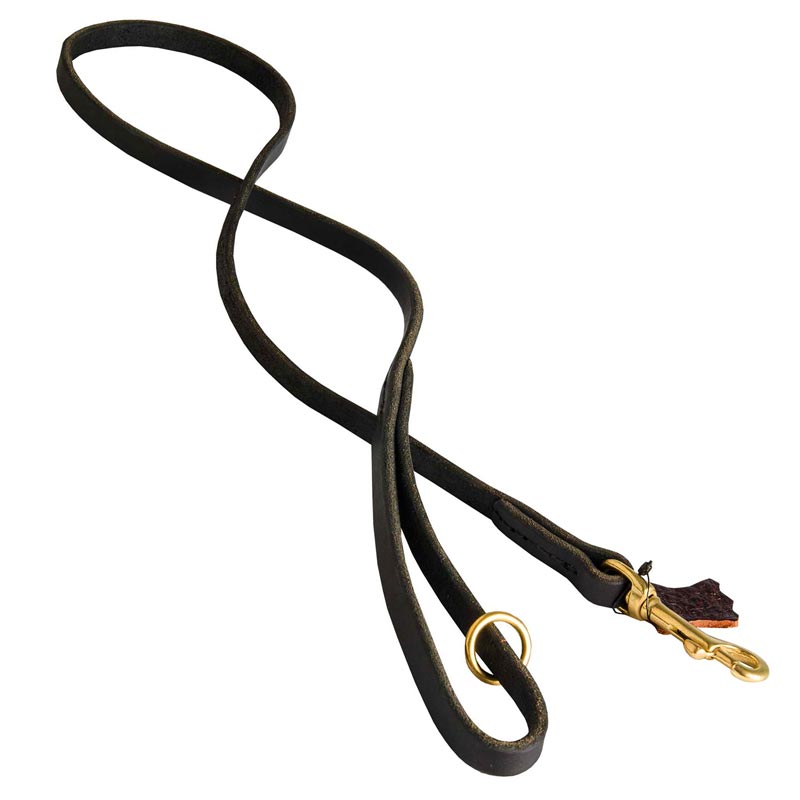 Handcrafted Leather Black Russian Terrier Leash for Walking and Tracking