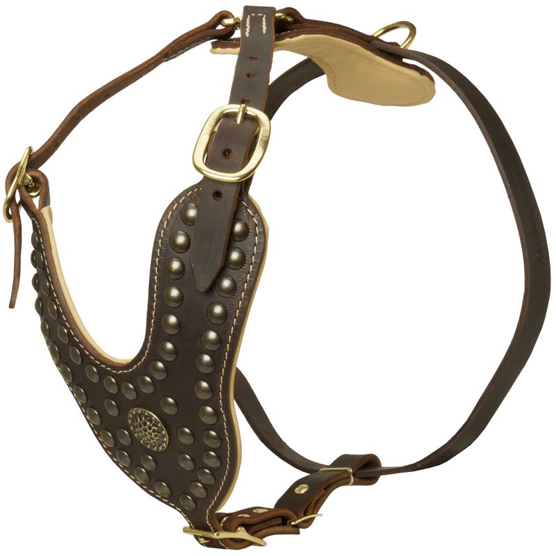 Royal Design Leather Black Russian Terrier Harness with Brass Studs