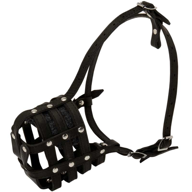 Walking and Training Leather Cage Black Russian Terrier Muzzle