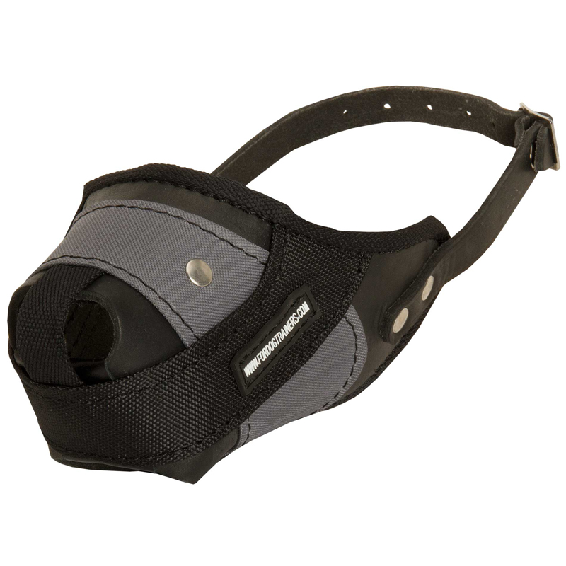 Protection Training Black Russian Terrier Muzzle Made of Nylon and Leather