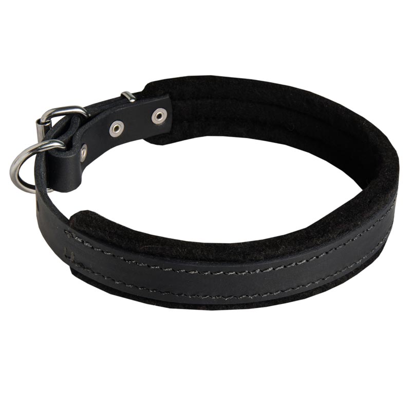 Padded Leather Black Russian Terrier Collar 25 mm for Dog Training