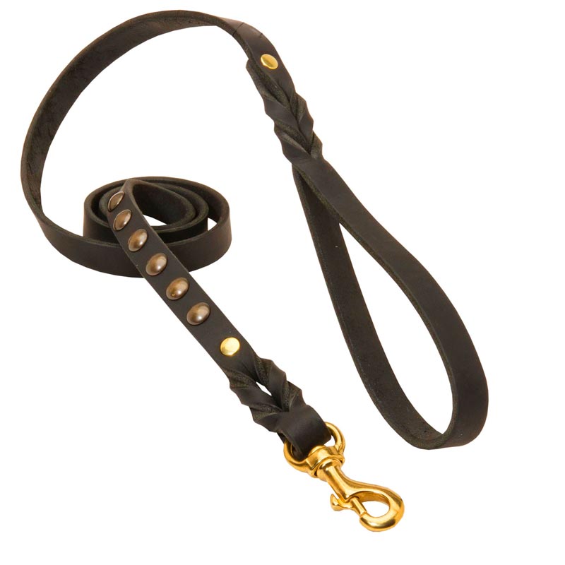 Studded Leather Black Russian Terrier Leash for Dog Walking and Training