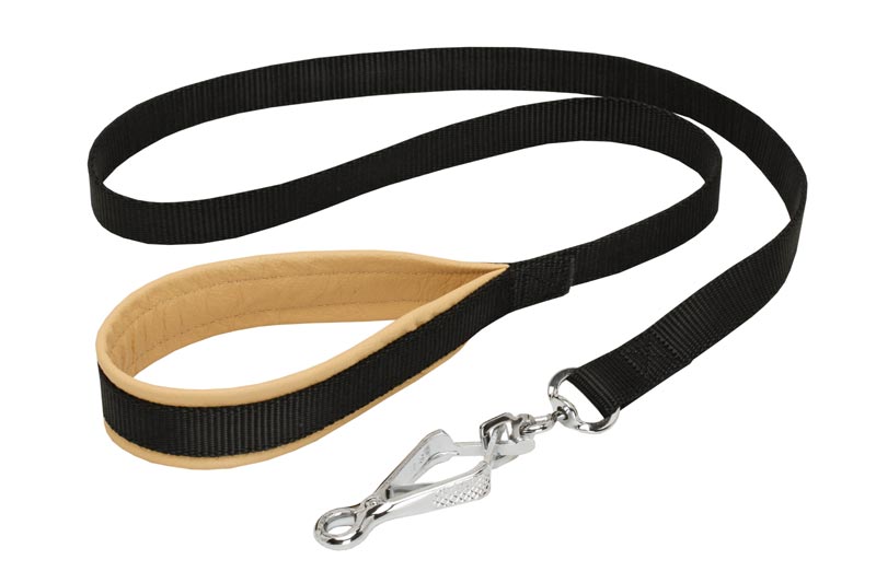 Nylon Black Russian Terrier Leash with Support Material on the Handle for Walking and Training