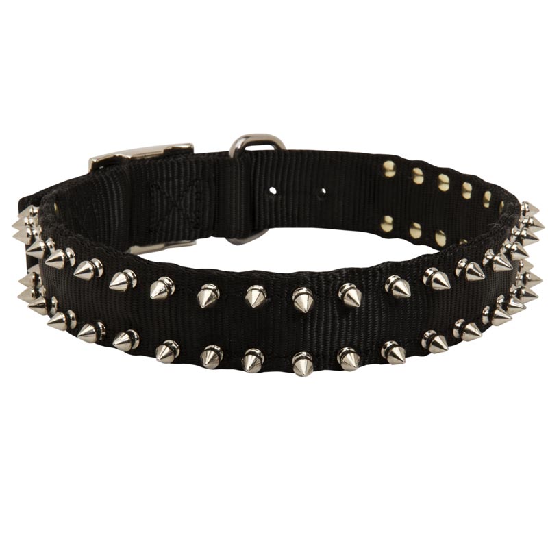 Black Russian Terrier Nylon Collar Spiked