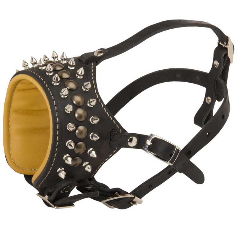 Royal Spiked and Studded Leather Black Russian Terrier Muzzle
