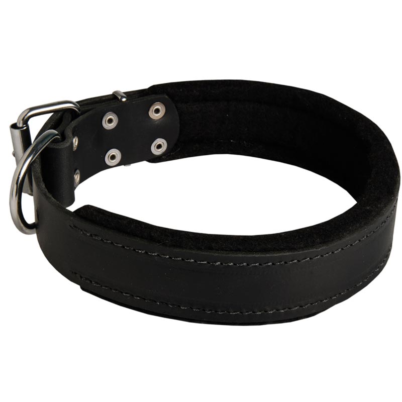 Black Russian Terrier Durable Padded Leather Collar 40 mm - Click Image to Close