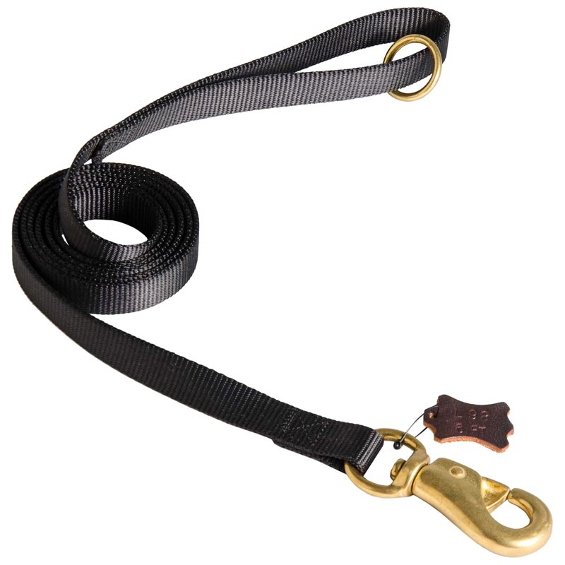 Any Weather Nylon Black Russian Terrier Leash for Walking, Tracking, Training