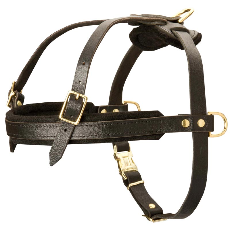 Leather Black Russian Terrier Harness for Tracking and Pulling