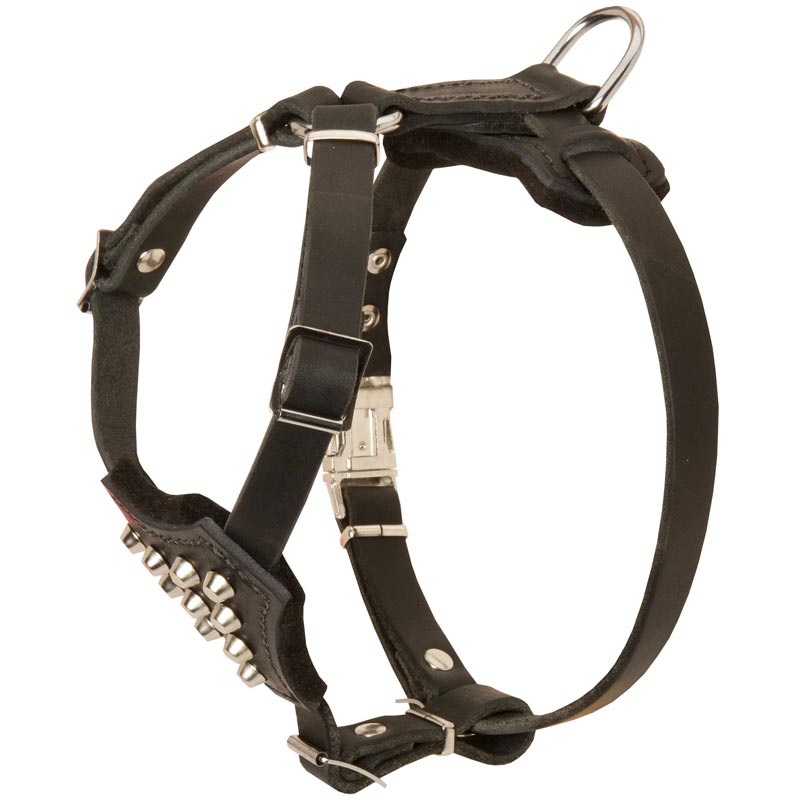 Studded Leather Black Russian Terrier Puppy Harness - Click Image to Close