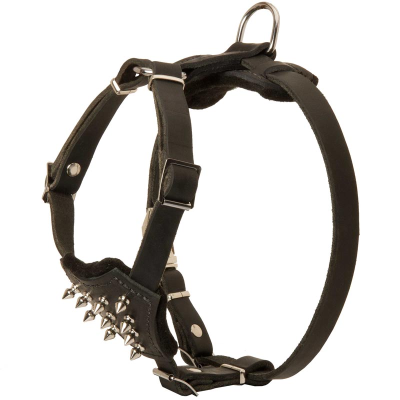 Durable Spiked Leather Puppy Black Russian Terrier Harness