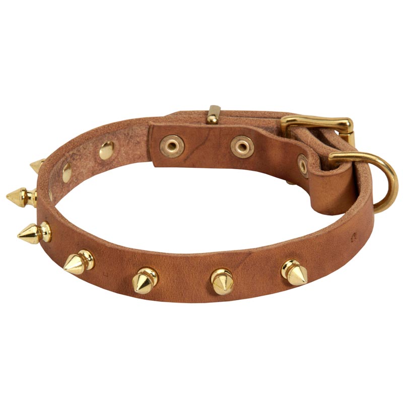 Walking Designer Leather Black Russian Terrier Collar with Brass Spikes