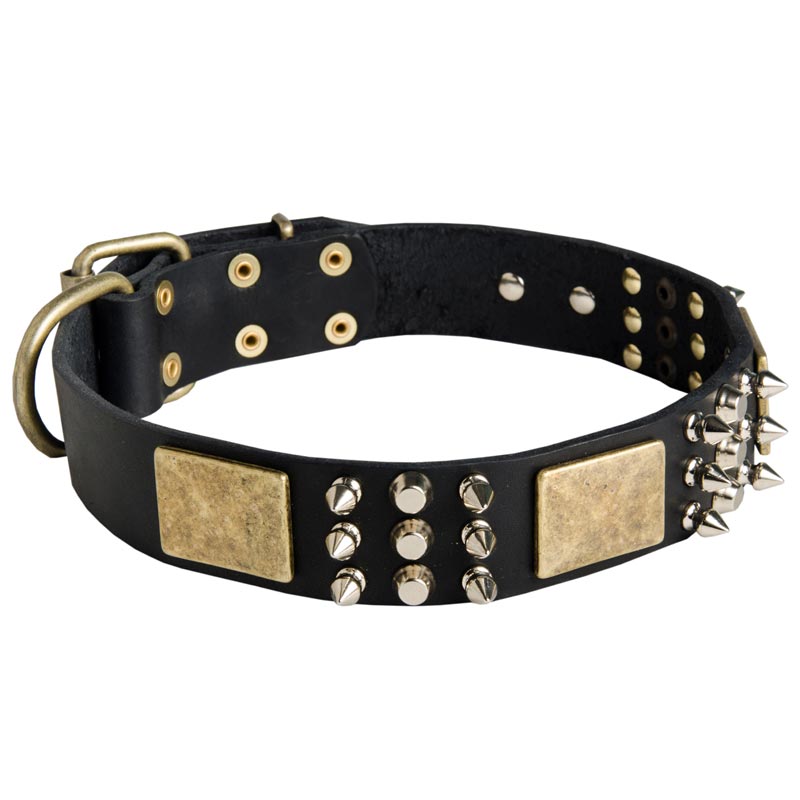Spiked Leather Black Russian Terrier Collar with Plates and Cones