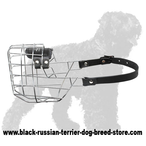 'The Silencer' Wire Cage Black Russian Terrier Muzzle With One Strap