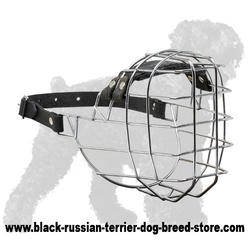 'The Silencer' Wire Cage Black Russian Terrier Muzzle With One Strap