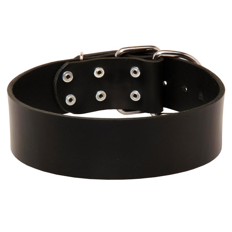 Extra Wide Leather Black Russian Terrier Collar for Professional Training