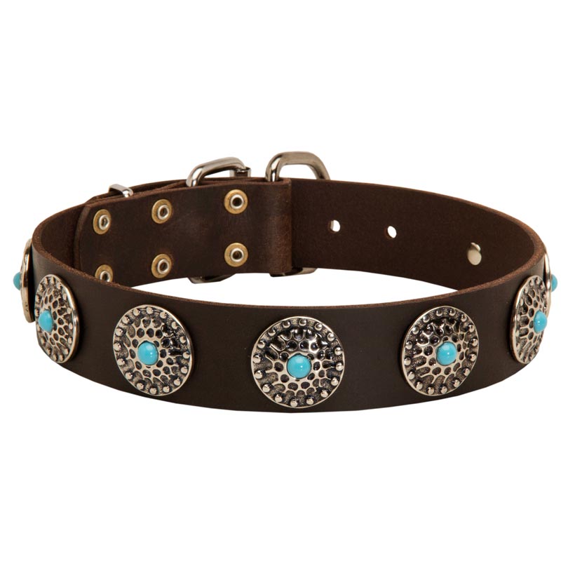 Leather Black Russian Terrier Collar with Blue Stones for Stylish Walking