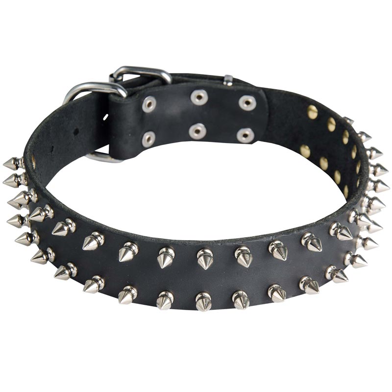 Leather Black Russian Terrier Collar with 2 Rows of Nickel Spikes - Click Image to Close