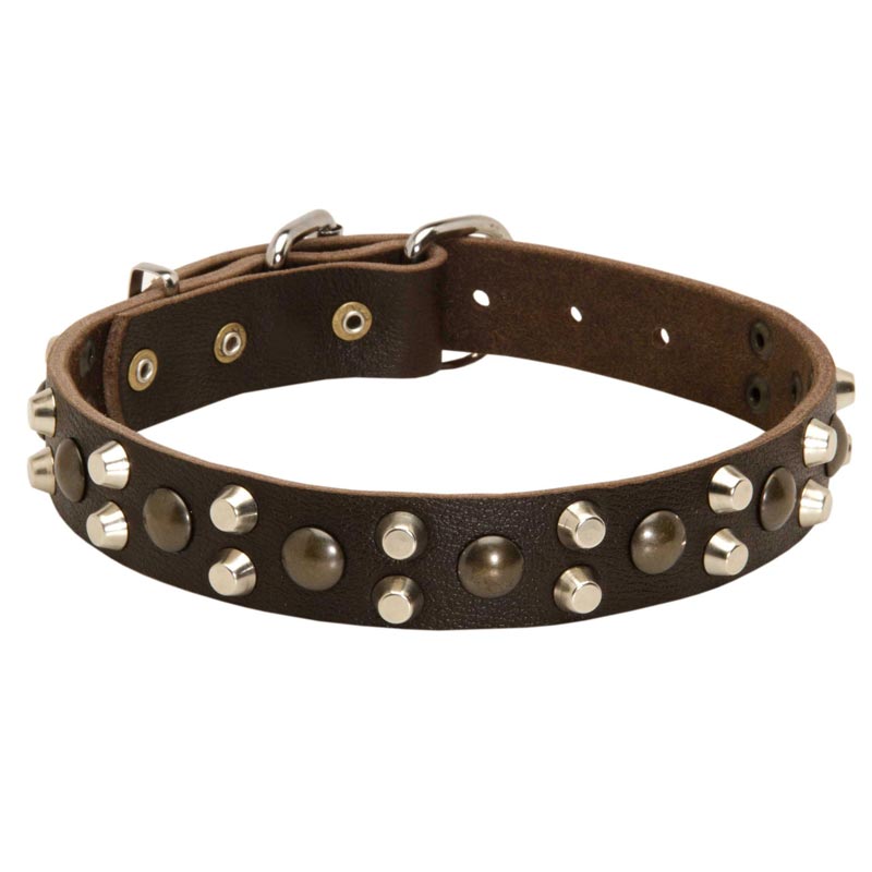 Leather Black Russian Terrier Collar With Studs and Pyramids