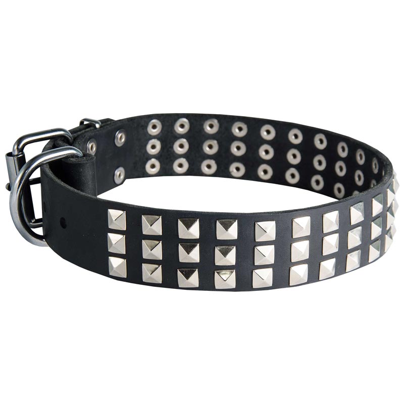 Leather Black Russian Terrier Collar with 3 Rows of Nickel Pyramids