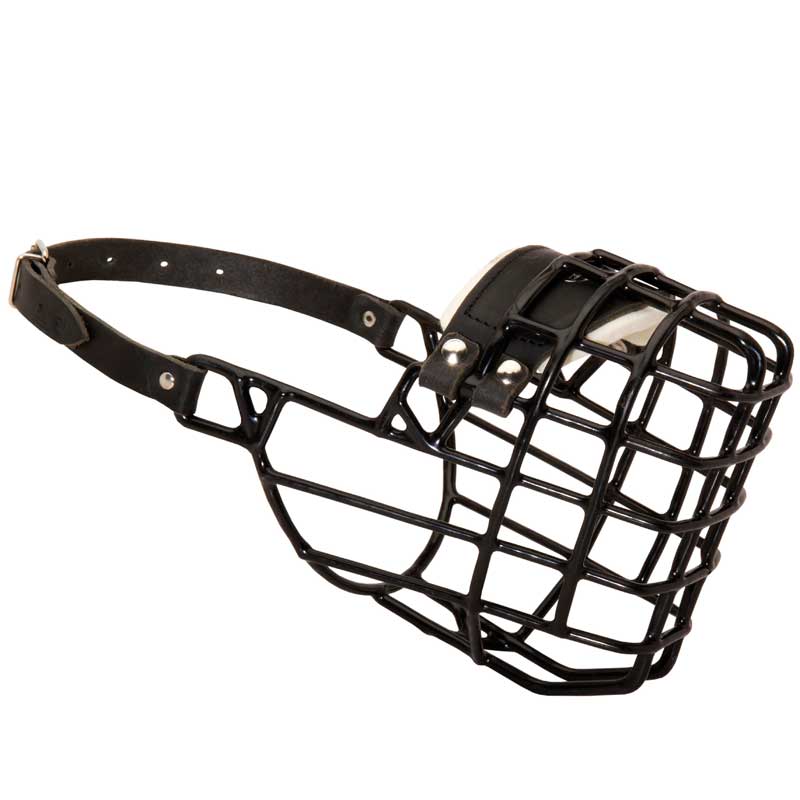 Frost-Resistant Wire Cage Black Russian Terrier Muzzle with One Adjustable Strap