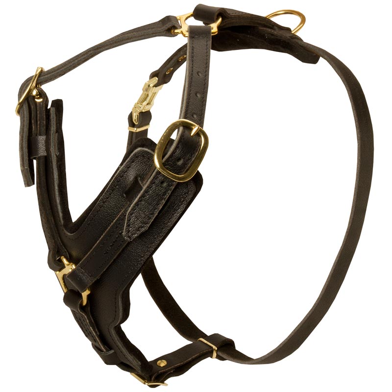 Padded Leather Black Russian Terrier Harness for Agitation Training