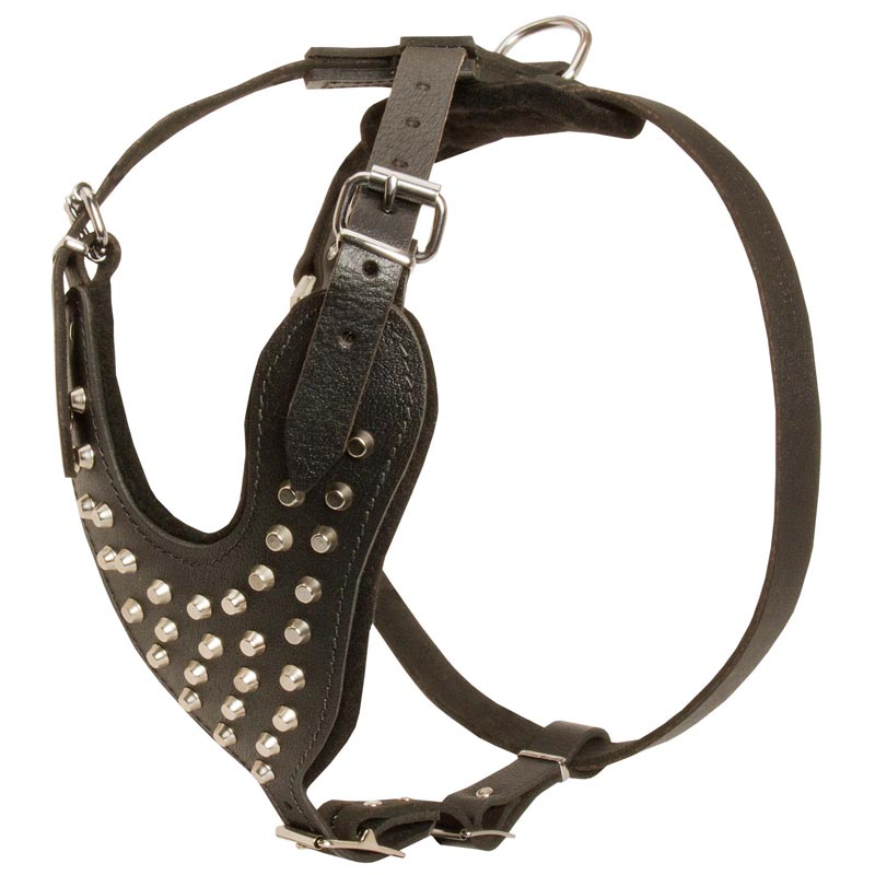 Adjustable Leather Black Russian Terrier Harness Studded for Fashion Walking