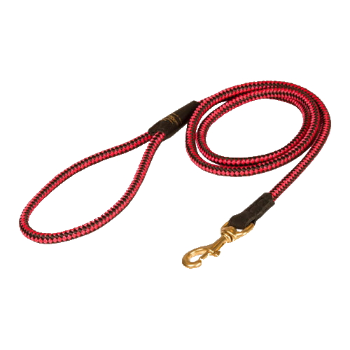 Black Russian Terrier Nylon Leash Multifunctional - Click Image to Close