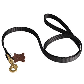 Walking Black Russian Terrier Leash