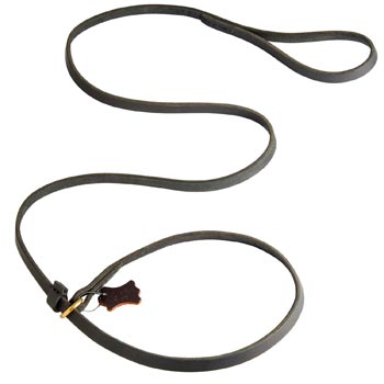 Best Choke Leather Black Russian Terrier Collar and Leash