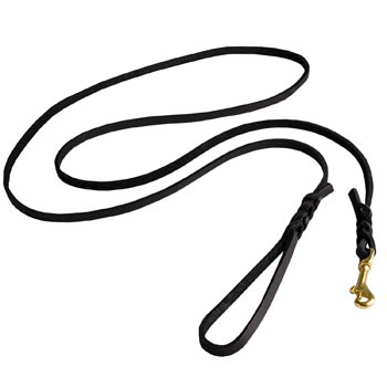 Best Walking Black Russian Terrier Leash Designer Supply for Walking in Style