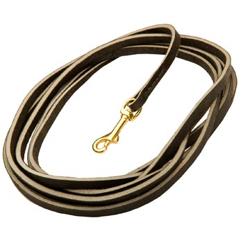 Leather Black Russian Terrier Leash Super Long