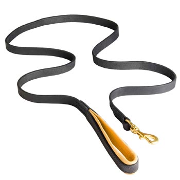 Padded Leather Leash for Black Russian Terrier Comfortable Walking