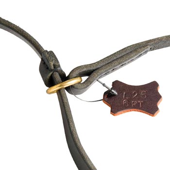 Durable Leash and Choke Collar Black Russian Terrier Equipment