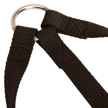 Nickel Ring of Black Russian Terrier Coupler