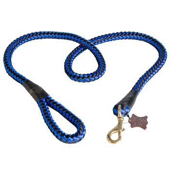 Black Russian Terrier Nylon Cord Leash