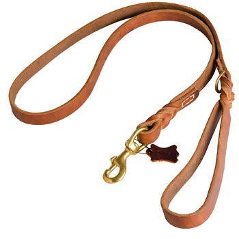 Canine Leather Leash for Black Russian Terrier