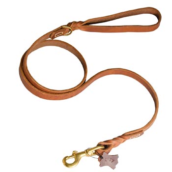 Training Leather Black Russian Terrier Leash with Handle