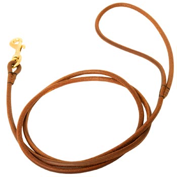 Leather Round Leash for Black Russian Terrier Elegant Look