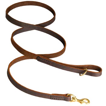 Classic Stitched Leather Black Russian Terrier Leash