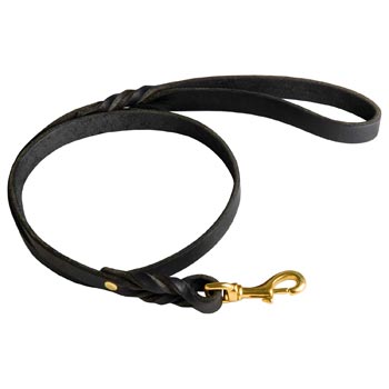 Best Training Black Russian Terrier Leash with Braided Details on Opposite Sides