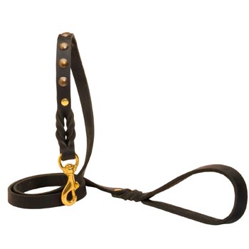 Training Leather Dog Leash Skillfully Studded for Black Russian Terrier