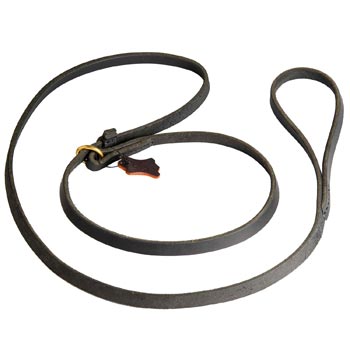 Leash and Collar Combo for Black Russian Terrier Walking and Training