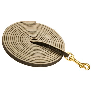 Training Leather Black Russian Terrier Leash