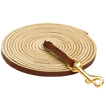 Tracking Brown Leather Black Russian Terrier Leash