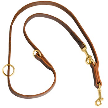 Multipurpose Leather Black Russian Terrier Leash