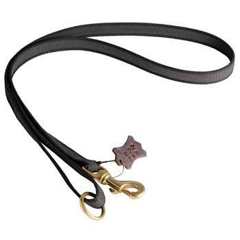 All Weather Nylon Leash for Black Russian Terrier Walking