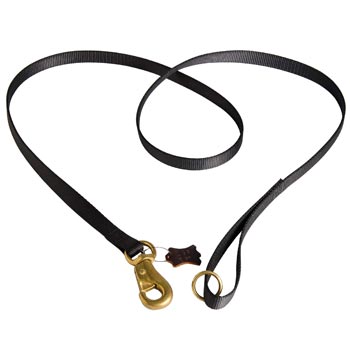 Dog Leash Nylon for Black Russian Terrier Everyday Walking 