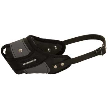 Black Russian Terrier Muzzle Leather and Nylon for Walking and Training